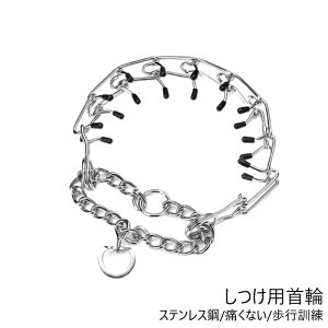  p p XeX| ̃^Cv ɂȂ sP ybgUpi ybgp ^ ^ ^ g[jO P