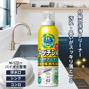 【8/11迄夏の大感謝際店内全品P10倍】 【公式】 排水口 泡 洗剤 クリーナー パイプ洗浄剤 キッチン ぬめり取り 蛇口 洗浄剤 消臭 バイオ 非塩素 塩素不使用 重曹配合 三角コーナー ゴミ受け ヌメリ 掃除