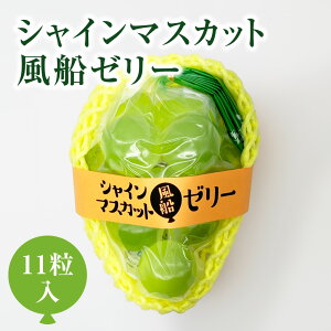 VC}XJbg D[[ 11 䋟 䋟   AȓyY ފ v`Mtg Mtg v[g  Ԃǂ ʏ` t[c [[ َq 퉷 ۑ 䌩 j 