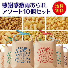 ＼最強翌日配送 要指定／ 感謝感激雨あられ アソート 10個セット あられ おかき 甘くない お返し 退職 異動 挨拶 お菓子 をかし楽市 国産 もち米 お礼 お世話になりました プチギフト ばらまき 大量 500円 職場 おしゃれ 産休 法人 慰労品 引越し 父の日 デパ地下