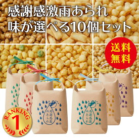 送料無料 感謝感激雨あられ 味が選べる 10個セット あられ おかき 甘くない 母の日 お返し 転職 退職 異動 卒園 卒業 お菓子 ギフト 退職 小分け お返し をかし楽市 国産 もち米 サクサク おしゃれ お礼 お世話になりました プチギフト 会社 ばらまき 職場 感謝 大量