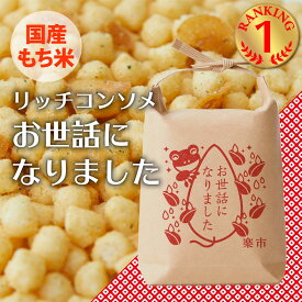 お世話になりました 米袋 リッチコンソメ あられ おかき お菓子 甘くない ギフト ご挨拶 プレゼント プチギフト 退職 転職 お返し をかし楽市 粋あられ 可愛い メッセージ 国産 もち米 職場 おしゃれ ちょっとした お礼 500円 大量 卒園 卒業 復帰 父の日