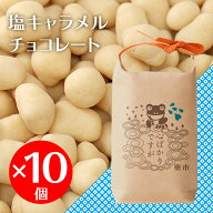 【日時指定制限4月15日までお届け】＼当店通常価格50%割引 最強翌日配送 要指定／ 選べるパッケージ 塩キ…