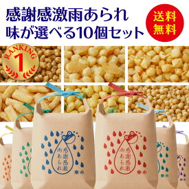 送料無料 感謝感激雨あられ 味が選べる 10個セット あられ おかき 甘くない お返し 退職 異動 挨拶 お菓子 をかし楽市 国産 もち米 ちょっとした お礼 お世話になりました プチギフト ばらまき 大量 500円 産休 職場 結婚式 お中元