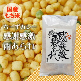 感謝感激雨あられ 感謝袋 ちーずカレー あられ おかき 甘くない ご挨拶 プチギフト プレゼント ありがとう お世話になりました 用 お菓子 お返し をかし楽市 粋あられ メッセージ 国産 もち米 退職 おしゃれ ちょっとした お礼 400円 気を使わせない