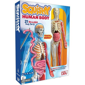 Uw ɂႮɂ@l̊wKc[@Smart Lab Toys Squishy Human Body Science Set