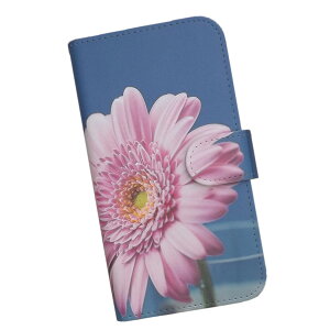 X}zP[X 蒠^ S@Ή vgP[X K[x  sN (622)