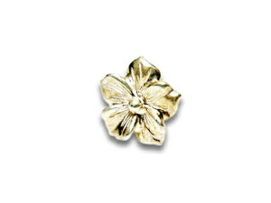 yFIRST ARROW's/t@[XgA[YzuMedium Flower Pierce/~fBAt[sAXv(O-077)(lCeBu/CfBA/WG[/nhCh/Vo[/S[h/AJW/n[[/ANZT