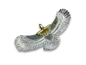 yFIRST ARROW's/t@[XgA[YzuMedium Eagle/~fBAC[Ov(P-509)(lCeBu/CfBA/WG[/nhCh/Vo[/S[h/AJW/n[[/zbgbh/ANZT