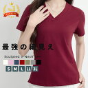 ＼本日ポイント10倍♪／ tシャツ レディース カットソー 半袖 vネック 大きいサイズ 2l 3l メール便送料無料 細見え 春 夏 無地 シンプル かわいい おしゃれ セクシー トップス 美ライン 着痩せ スリム タイト カジュアル 白 薄手 涼しい きれいめ 韓国ファッション