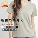 ＼15%OFF!クーポン／ tシャツ レディース カットソー 半袖 vネック 大きいサイズ 2l 3l メール便送料無料 細見え 春 夏 無地 シンプル かわいい おしゃれ セクシー トップス 美ライン 着痩せ スリム タイト カジュアル 白 薄手 涼しい きれいめ 韓国ファッション