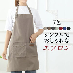Gv  fB[X n Vv l 킢 V[g Ǝ K   x[W JtF  }} w jp Z V[g Lb` w ̓ v[g Mt