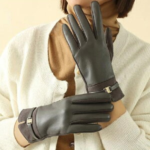  fB[X H~ N  킢 g X}zΉ ^ubgΉ y[֑z l wl t O[u h ʋ ]   O[ ItzCg