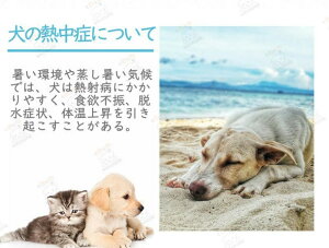 pN[xXg  ėp N[ ^ ^  N[EFA   N[ G炷 N[xXg Ђ ObY MǑ΍ U ybg  S M L XL TCY/ybg⊴EFA 