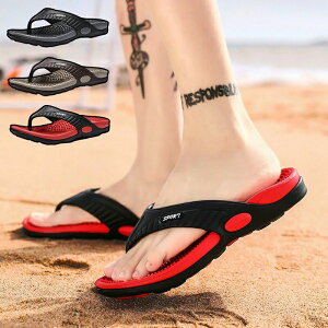 yԌ|Cg10{zyzY r[`T_ Y ɂȂ ăT_ C JWAV[Y 傫TCY  ₷ 2025ĐV