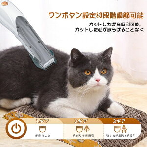 yԌ|Cg10{zpoJ ybgpoJZbg yђ̂&ыzz oJ SgJbg тzoJ doJpO[~OoJ ybgp