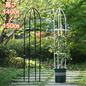 yԌ|Cg10{zIxXN ACA gX op K[f x Ԏx  o KN  K[fjO U ȒP  ȈՑg ߉\ 鐫A 