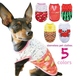 ybg ^Ngbv hbOEGA LbgEGA bV  m[X[u Ȃ  L ^ t[c A vg U o| ʋC t  ybgpi ybgObY