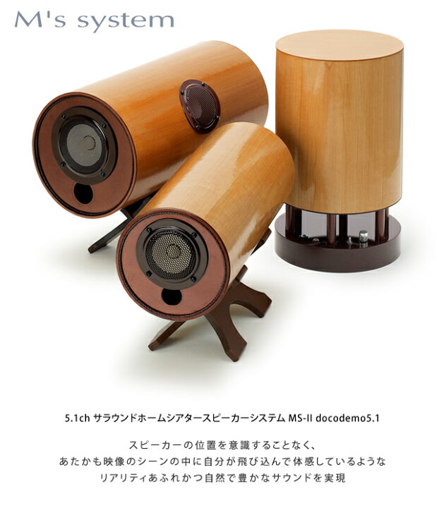 楽天市場】エムズシステム M