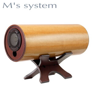 GYVXe M's System gXs[J[ RS0802-M [v