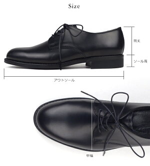 パドローネPADRONEアルコレッタARCOLETTAダービープレーントゥシューズレオーネDERBYPLAINTOESHOESLEONEAP8565-2013-19C