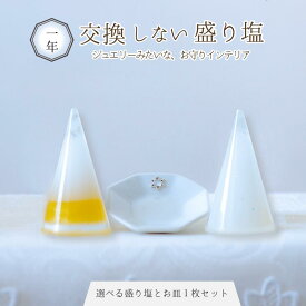 交換不要 盛り塩 円すい 1個 八角 皿 セット おしゃれ 風水オルゴナイト ＼ 1年間使える 浄化 ／引越し祝い 開店祝い 開運インテリア 天然石入り レジン エポキシ樹脂 プレゼント 女性