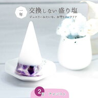 アメジスト 盛り塩 おしゃれ 円錐型 単品1個 または 八角 皿 セット 浄化 癒し 天然石 風水 成功 開運 イ…