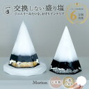 交換不要 盛り塩 モリオン 黒水晶 2個セット ＼制作期間5日間／ ゴールド シルバー 六角錐 八角皿付き 1年間 置くだけ…