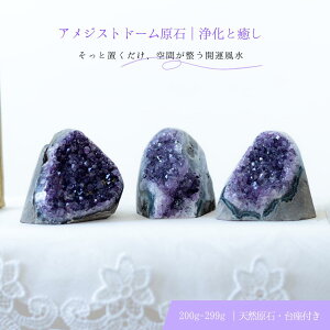 AWXgh[  t VR 200g ` 299g TCY  AVXg 2 a  J^CeA