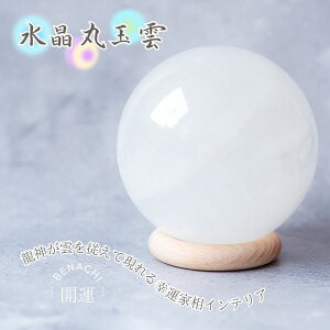    ۋ _ ^   10cm J^ u p[Xg[ 򉻃ObY _  CeA ACe Ƒ  ʃX^ht