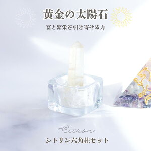 �V�g���� �Z�p�� �V�R�� �p���[�X�g�[�� ���^ ���^ �d���^ �J�^ �� ���F ���� ���z�� �C���e���A �u�� �K�^ ���i�� �K���X�� �����ꐅ��40g