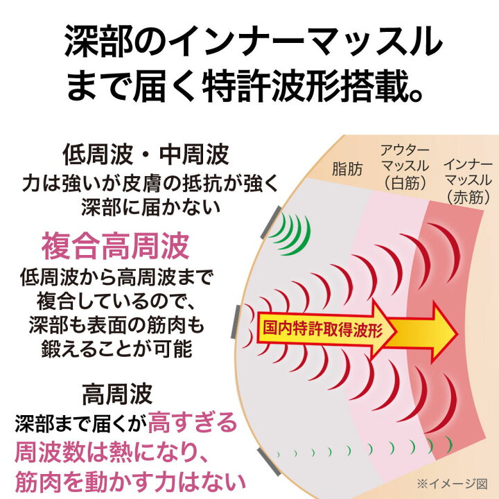 楽天市場】楽天セール プレゼント付！大ベストセラー EMSの最新 