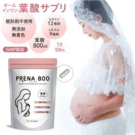 プレナ800 葉酸 800μg サプリメント 120粒(30～60日分) 妊娠 妊活 サプリ 鉄 ビタミン12種 ミネラル9種 カルシウム マルチビタミン
