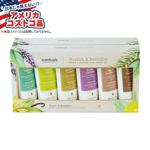 yAJtFAzZ`A XgA&yA nhN[ Zbg 12pbN Scentuals Restore & Repair Hand Cream Set, 2 fl oz, 12-packy񂹏izy킹ĔzyAJRXg