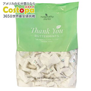 yAJtFAzzXs^eB~g TL[o^[~g 26IX Hospitality Mints Thank You Buttermints, 26 ozy񂹏izy킹ĔzyAJRXgRiz
