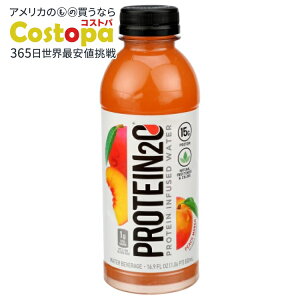 yő2000~OFFN[|z[12Zbg]veCgD[I[ s[`}S[Protein2o Water Prtn Pch Mngo 16.9FO y񂹏izy킹Ĕz