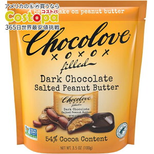 yő2000~OFFN[|z[8Zbg] `Ru oCc _[N`R[g艖s[ibco^[ 100g Chocolove Bites Salted Peanut Butter in Dark Chocolatey񂹏izy킹Ĕz