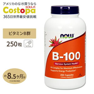 yő2000~OFFN[|zr^~B-100 250 8 NOW Foods (iEt[Y)[TCY] B-100 250capsules