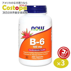 yő2000~OFFN[|z[3Zbg]r^~B6 100mg 250 NOW Foods (iEt[Y) Vitamin B-6 100mg - 250 Caps