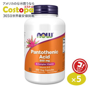 yő2000~OFFN[|z[5Zbg]iEt[Y pge_ 500mg 250 xWJvZ NOW Foods Pantothenic Acid Veg Capsules r^~B5 nr^~ GlM[ eT|[g _CGbgT|[g