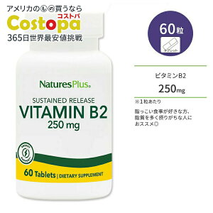 �l�C�`���[�Y�v���X �r�^�~�� B2 250mg �T�X�e���h�����[�X �^�u���b�g 60�� NaturesPlus Vitamin B2 250 mg Sustained Release Tablets ���{�t���r��