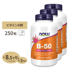 yő2000~OFFN[|z[3Zbg]iEt[Y B-50 Tvg 250 NOW Foods r^~BQ11 t_ iCAV rI` pge_ PABA R CmVg[ TCY xWJvZ