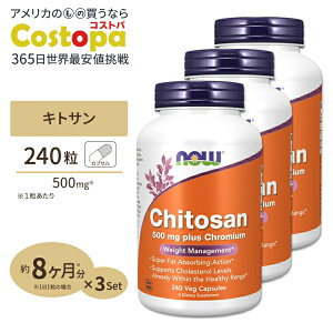 [3Zbg] LgT ( vX N~E) 500mg 240 NOW Foods (iEt[Y)