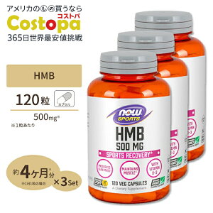 yő2000~OFFN[|z[3Zbg] HMB 500mg 120s3t NOW Foods(iEt[Y) iEX|[c nowsports