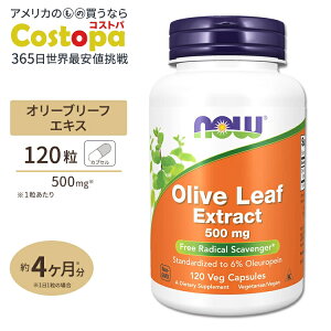 �I���[�u���[�t�G�L�X (�I���E���y�C��6%) 500mg 120�� NOW Foods (�i�E�t�[�Y) Olive Leaf Extract 500 mg Vegetarian - 120 Vcaps