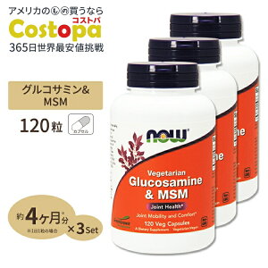 yXߋő勉MAX4000~OFFN[|z[3Zbg] AORT~igERVRjMSM 120 NOW Foods(iEt[Y)