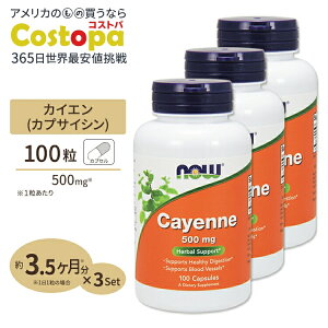 yő2000~OFFN[|z[3Zbg] JCG (hq) 500mg 100 NOW Foods (iEt[Y)