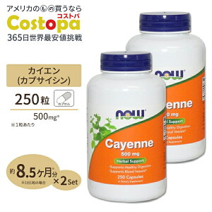 yő2000~OFFN[|z[2Zbg] JCG (hq) 500mg 250 NOW Foods (iEt[Y)