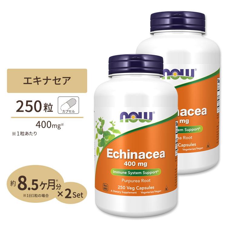 エキナセア 400mg 250粒 高品質 NOW Foods 2個セット 日本製 ナウフーズ