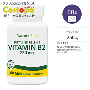 �l�C�`���[�Y�v���X �r�^�~�� B2 250mg �T�X�e���h�����[�X �^�u���b�g 60�� NaturesPlus Vitamin B2 250 mg Sustained Release Tablets ���{�t���r��